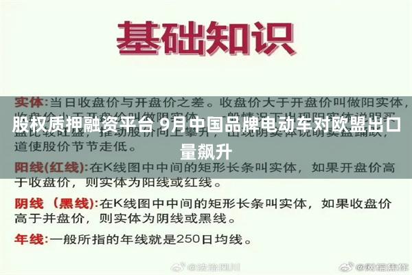 股权质押融资平台 9月中国品牌电动车对欧盟出口量飙升