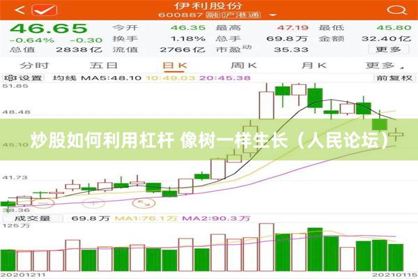 炒股如何利用杠杆 像树一样生长（人民论坛）