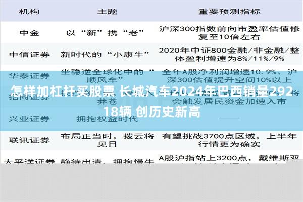 怎样加杠杆买股票 长城汽车2024年巴西销量29218辆 创历史新高