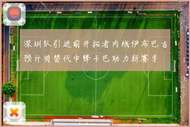 深圳队引进前开拓者内线伊布巴吉预计将替代中锋卡巴助力新赛季