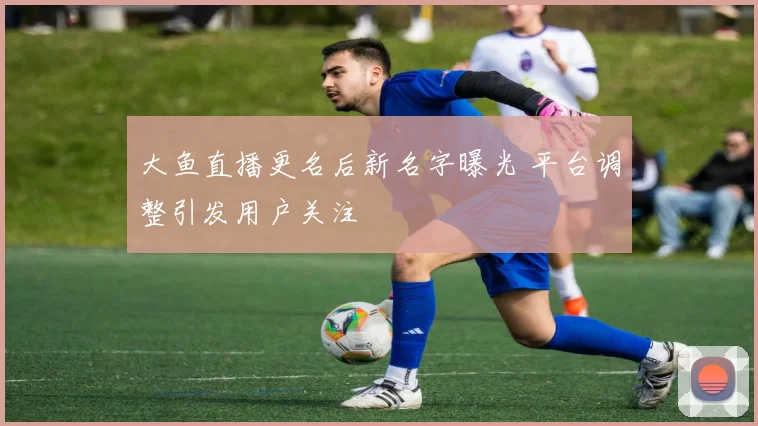 大鱼直播更名后新名字曝光 平台调整引发用户关注