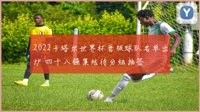 2022卡塔尔世界杯晋级球队名单出炉 四十八强集结待分组抽签