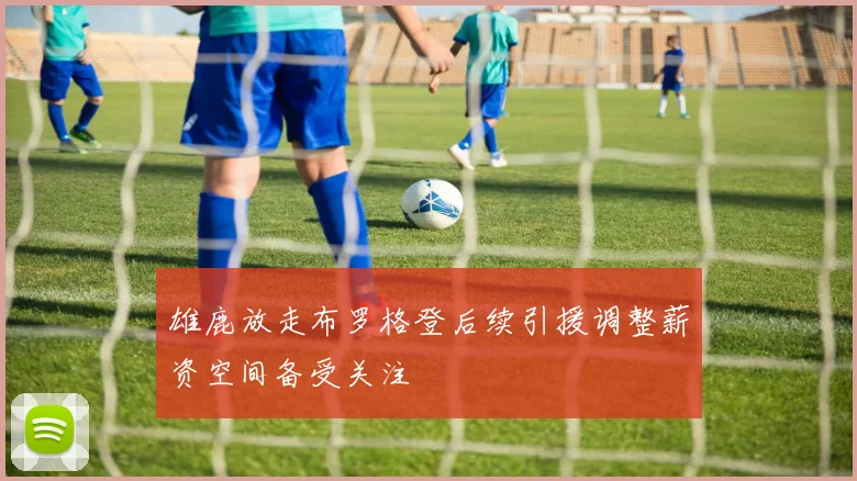 雄鹿放走布罗格登后续引援调整薪资空间备受关注