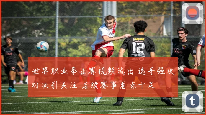 世界职业拳击赛视频流出 选手强攻对决引关注 后续赛事看点十足