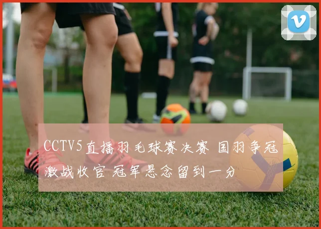 CCTV5直播羽毛球赛决赛 国羽争冠激战收官 冠军悬念留到一分